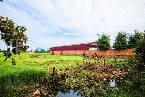 ដីលក់បន្ទាន់ | Land for Sale (Urgent)