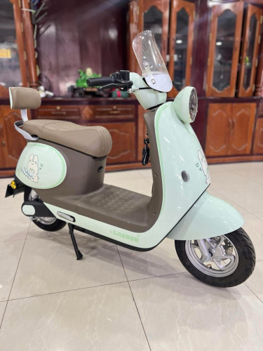 ម៉ូតូអគ្គិសនី model A026 / standard USA 5xx