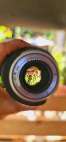 លក់ nikon D600 &lan24.70 f2.8