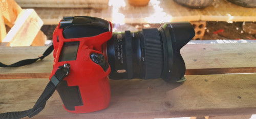 លក់ nikon D600 &lan24.70 f2.8