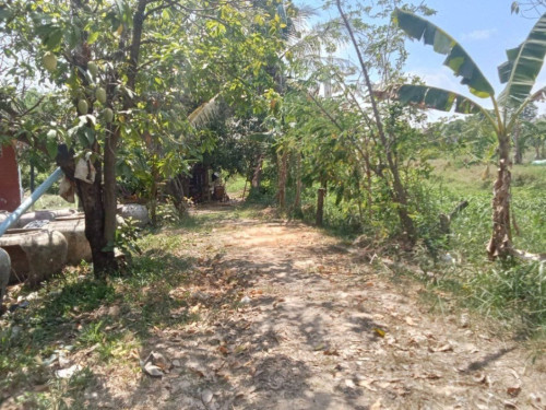 ๐ฆLand Available for Urgent Sale at a Special Price (Negotiable).