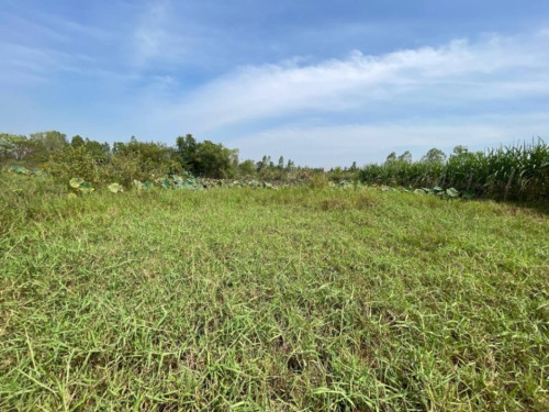 🏦Land Available for Urgent Sale at a Special Price (Negotiable).