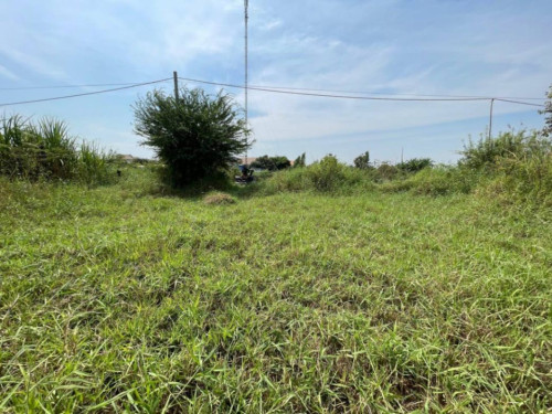 🏦Land Available for Urgent Sale at a Special Price (Negotiable).