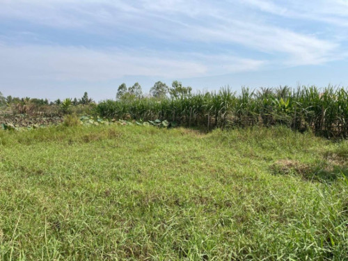 🏦Land Available for Urgent Sale at a Special Price (Negotiable).