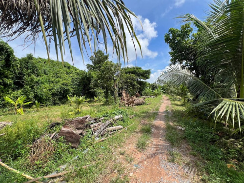 🏦Land Available for Urgent Sale at a Special Price (Negotiable).