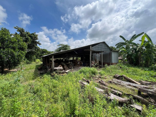 🏦Land Available for Urgent Sale at a Special Price (Negotiable).