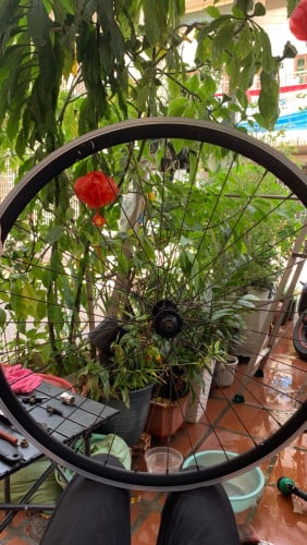 700cc ចាំងខ្លាំង