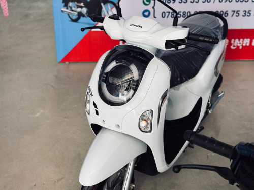 Honda Scoopy (Keys) ថ្មីក្រដាសពន្ធ
