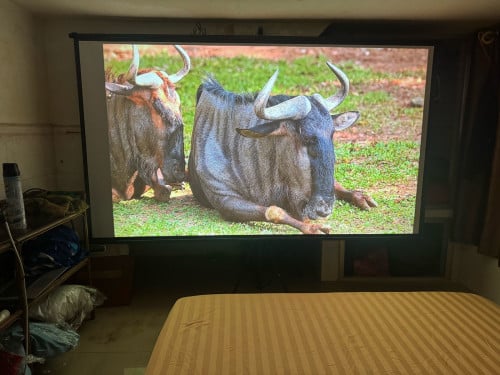 HY450MAX Smart Projector