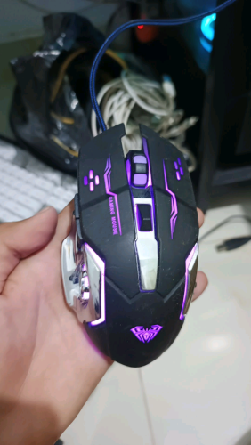Mouse