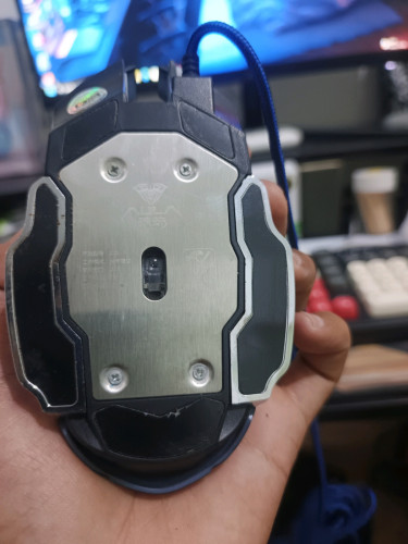 Mouse