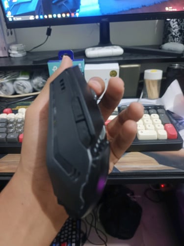 Mouse
