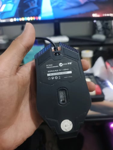 Mouse