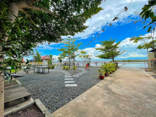 ដីលក់បន្ទាន់ក្រោមទីផ្សារ កំពត