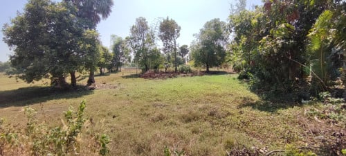 ដីលក់បន្ទាន់នៅកណ្តាលក្រុងកែប