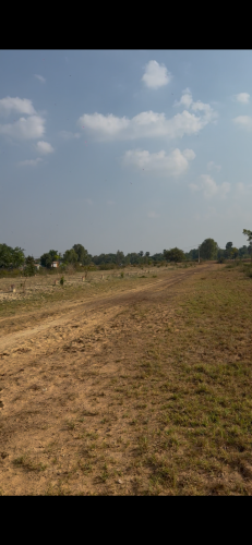 លក់ដីឡូ