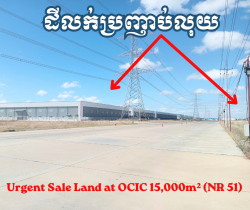 ដីលក់ប្រញាប់នៅសួនកាណាឌីយ៉ាថ្មី-OCIC Land Urgent Sale