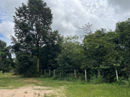 ๐ก แแธแแแ โ แแแแแถแแแแแธ แแแแแแแแแแถแ | ๐ก Land for Sale โ Banteay Srei, Siem Reap