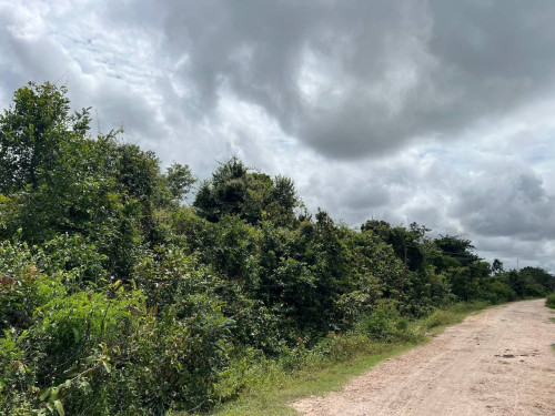 ๐ก แแธแแแ โ แแแแแถแแแแแธ แแแแแแแแแแถแ | ๐ก Land for Sale โ Banteay Srei, Siem Reap