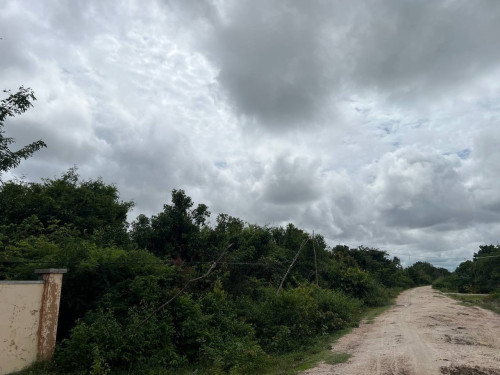 ๐ก แแธแแแ โ แแแแแถแแแแแธ แแแแแแแแแแถแ | ๐ก Land for Sale โ Banteay Srei, Siem Reap