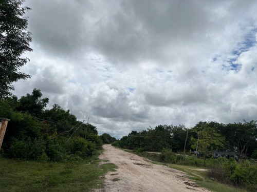 ๐ก แแธแแแ โ แแแแแถแแแแแธ แแแแแแแแแแถแ | ๐ก Land for Sale โ Banteay Srei, Siem Reap