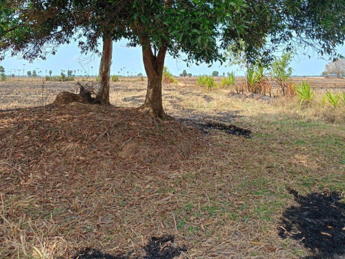 🏦Land  Available for Urgent Sale at a Special Price (Negotiable).