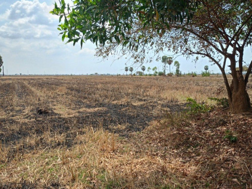 🏦Land  Available for Urgent Sale at a Special Price (Negotiable).