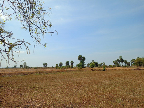 🏦Land  Available for Urgent Sale at a Special Price (Negotiable).