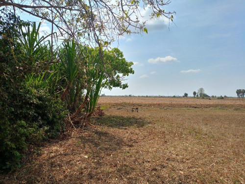 🏦Land  Available for Urgent Sale at a Special Price (Negotiable).