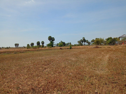 🏦Land  Available for Urgent Sale at a Special Price (Negotiable).