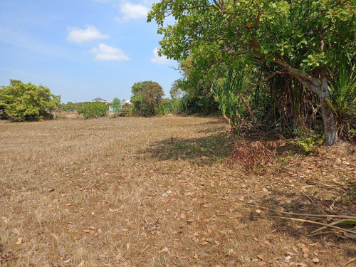 🏦Land  Available for Urgent Sale at a Special Price (Negotiable).