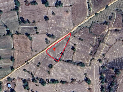 🏦Land Available for Urgent Sale at a Special Price (Negotiable).