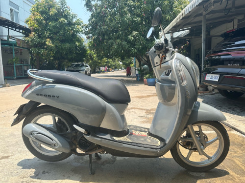 Scoopy 2014