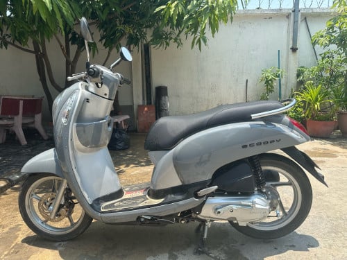 Scoopy 2014