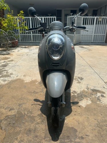 Scoopy 2014