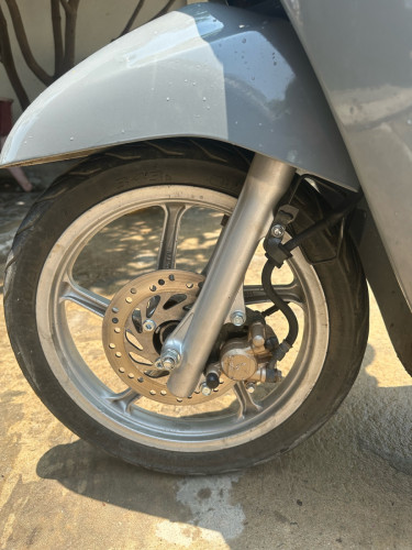 Scoopy 2014