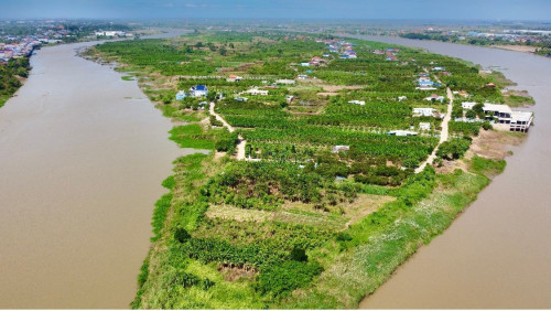 ដីលក់ជាប់ទន្លេបាសាក់ នៅកោះអន្លង់ចិន
