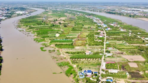 ដីលក់ជាប់ទន្លេបាសាក់ នៅកោះអន្លង់ចិន