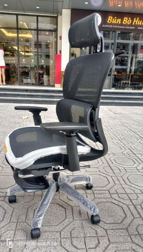 Ergonomics  Chair