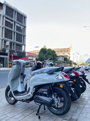 Honda scoopy 2026 Full 3180$ ឆាតជាមួយហាងផ្ទាល់ 💌👉 https://t.me/senghengmotor090