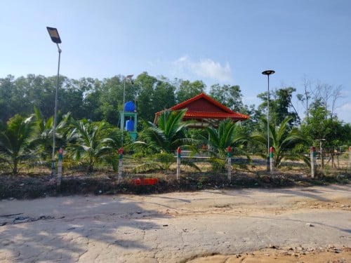 ដីលក់បន្ទាន់