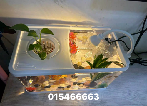 ឈុតទូត្រី 16$🪴🐠💦🌱🍍ឈុតទូត្រីលក់ដូចនៅក្នុងរូបបងៗ