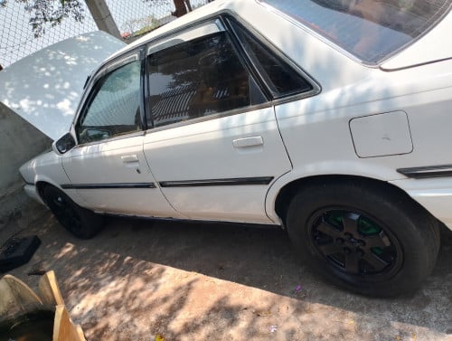 Camary91