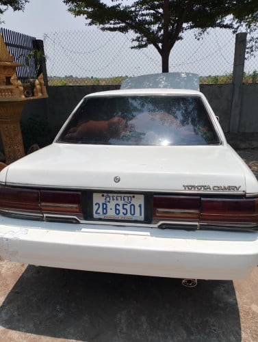 Camary91