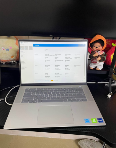 Dell Inspiron 5620