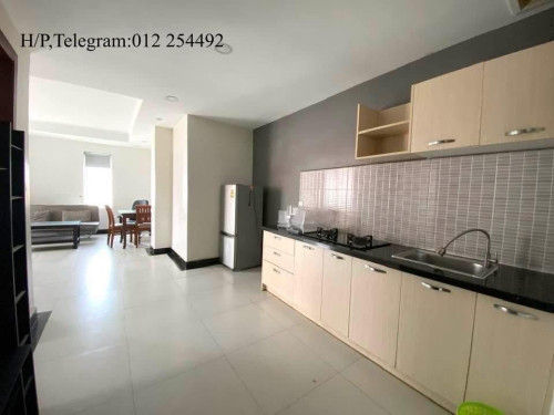 Fully Furnished Elevator Apartment for Rent