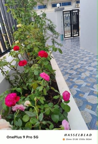 ផ្ទះកែងសម្រាប់លក់នៅ ក្រោយផ្សារសន្ដិភាព២