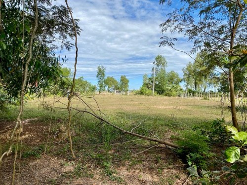 ដីលក់នៅសៀមរាប