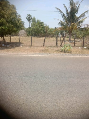 ដីរលក់បន្ទាន់ប្រញាប់លុយ