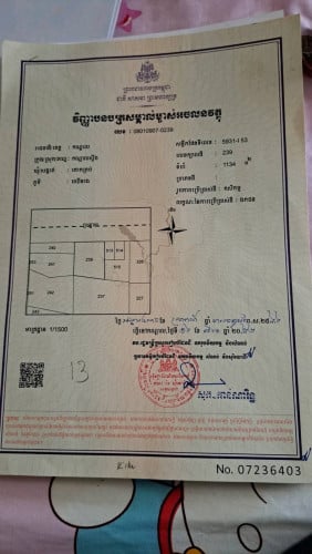 ដីលក់ប្រញាប់ 9 (កណ្តាលស្ទឹង)
